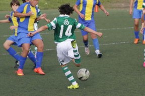 开云全站-国际足球协会推动足球全民普及，青少年参与度飙升，各国青少年足球注册人口