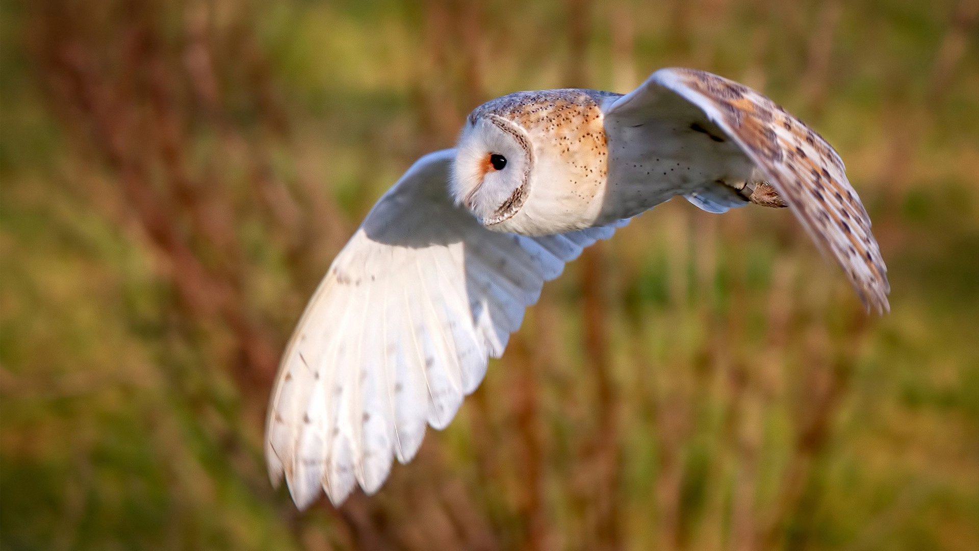 _极地冰川徒步：探索白雪皑皑的冒险之旅_，极地冰川主要在哪里