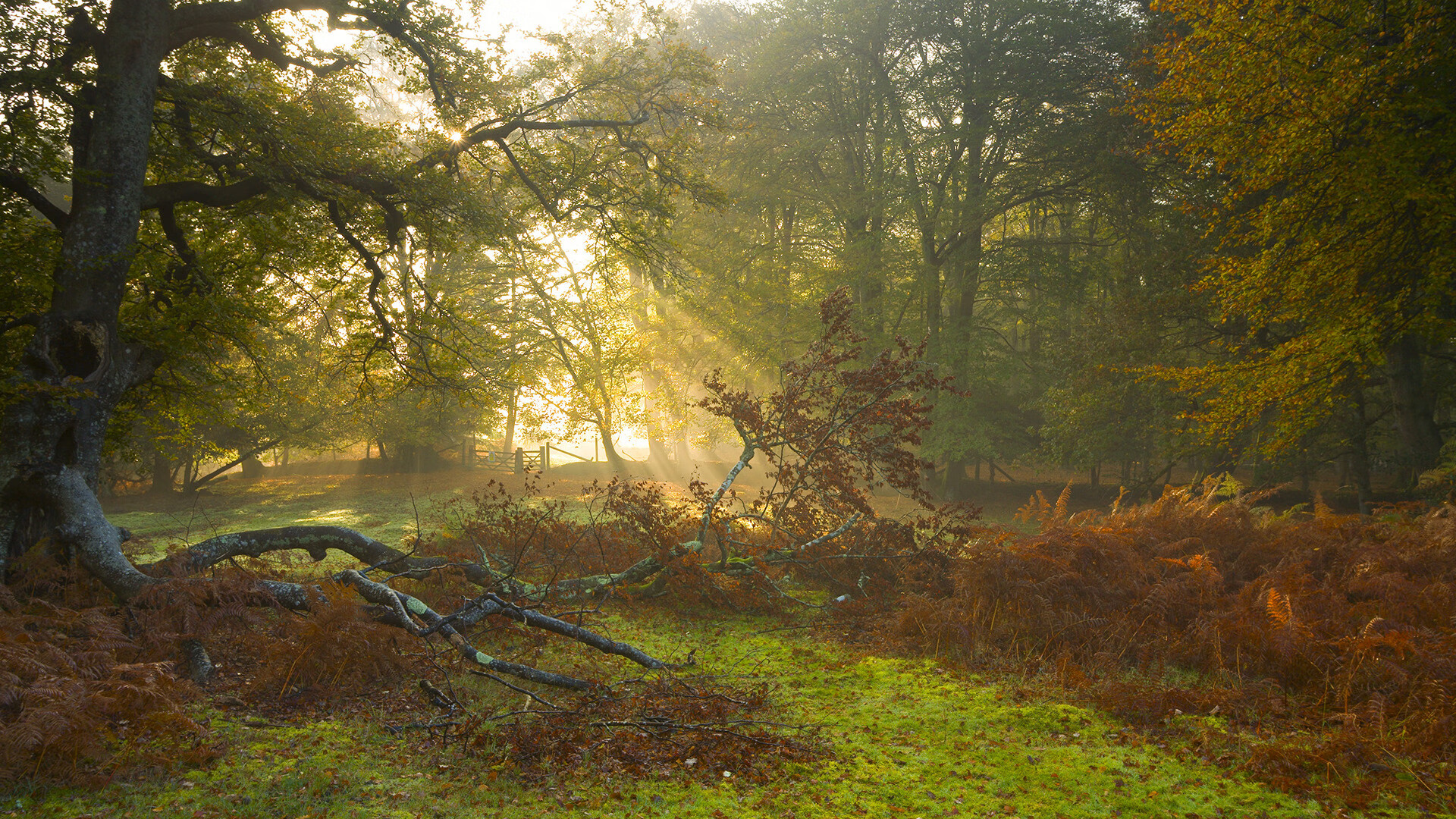 “西甲联赛风云变幻，豪门纷纷迎战”，西甲足球联赛