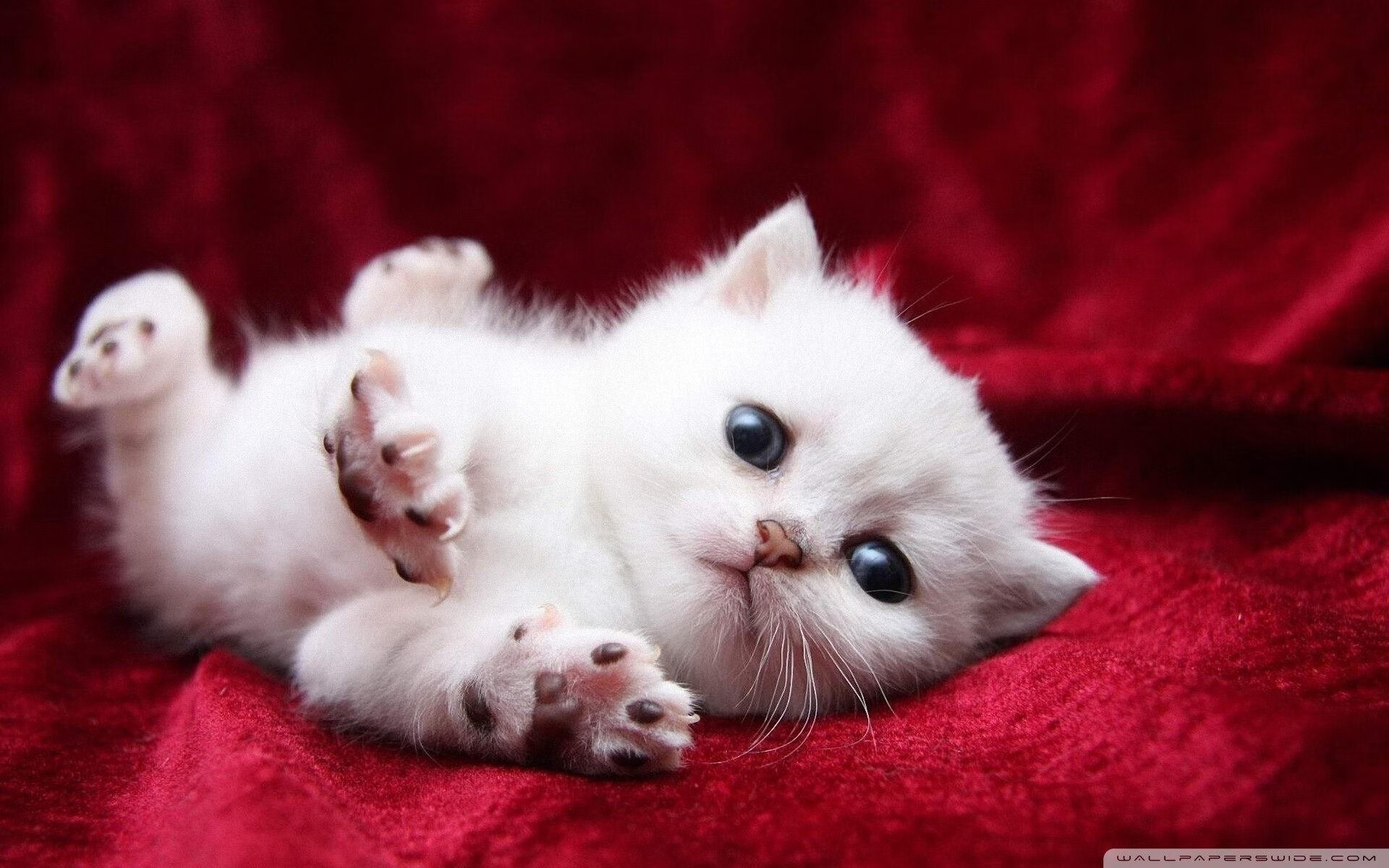 传统比赛与新兴电竞结合的探索，电竞比赛和传统体育比赛区别