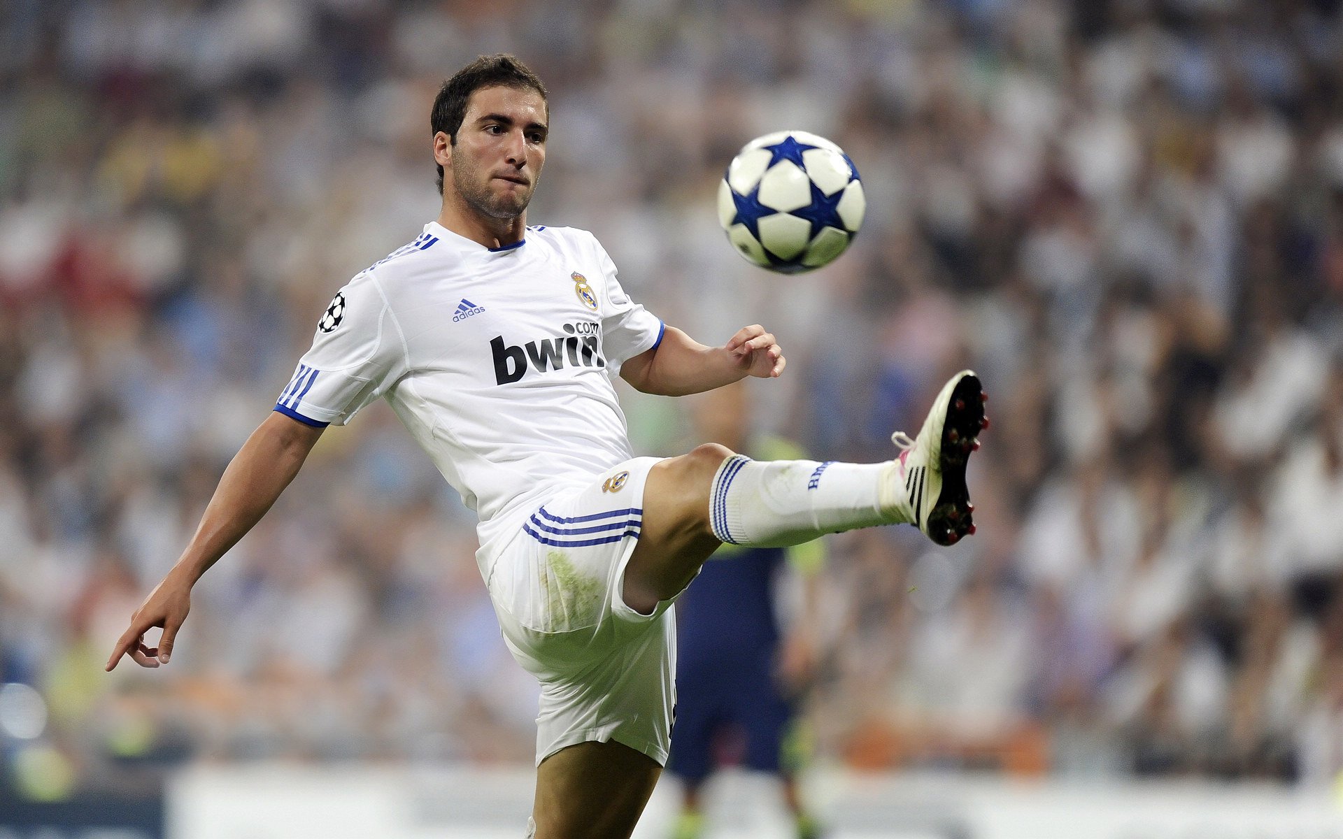 勇士推出AI分析球迷情绪系统,用于主场氛围优化,勇士球迷素质